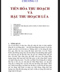 Thu hoạch và bảo quản lúa